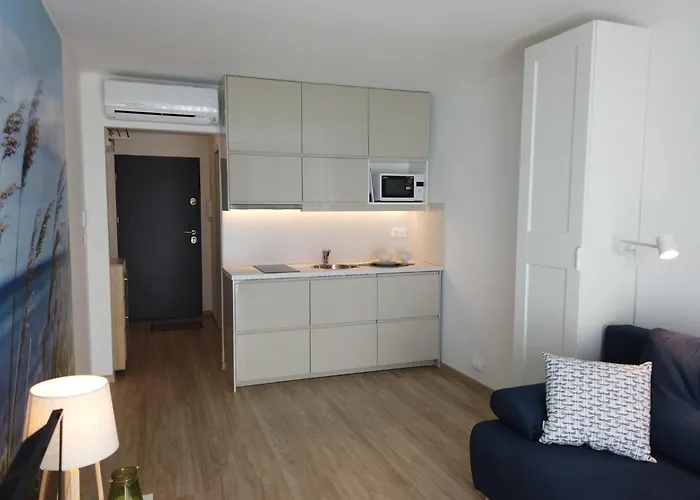 Optimist 시오포크